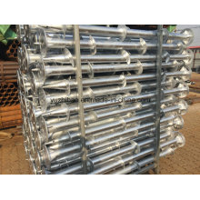 Galvanized Ground Screw Pile, Ground Spike